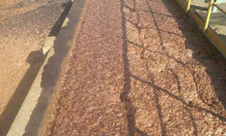 宁夏某化工有限责任公司